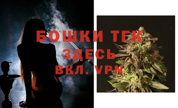Альфа ПВП Бородино
