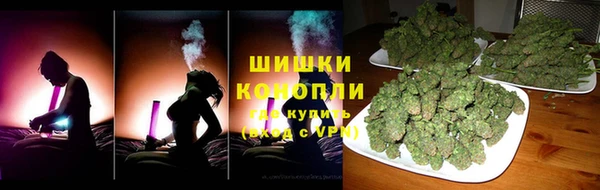 Альфа ПВП Бородино