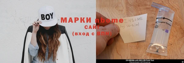 индика Богородицк