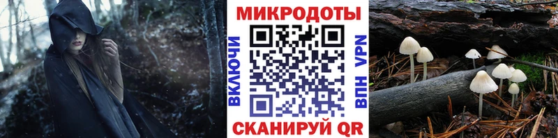 купить наркоту  Вязьма  Псилоцибиновые грибы Magic Shrooms 